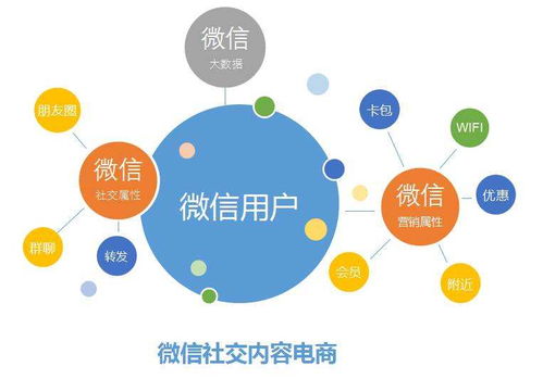 學(xué)校教育管理信息系統(tǒng)與網(wǎng)絡(luò)信息技術(shù)融合開發(fā)路徑探究
