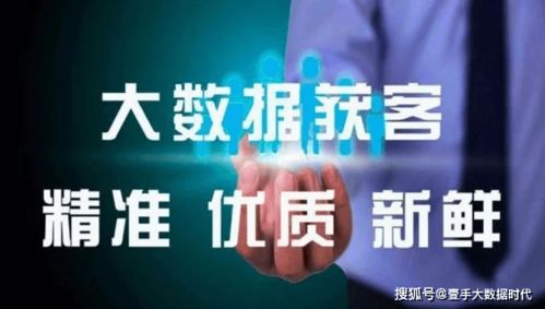 運(yùn)營(yíng)商精準(zhǔn)大數(shù)據(jù) 行業(yè)標(biāo)簽如何實(shí)現(xiàn)精準(zhǔn)獲客的大數(shù)據(jù)服務(wù)